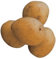Kartoffeln